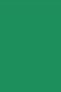 CARTULINA IRIS A4 185G. VERDE ABETO
