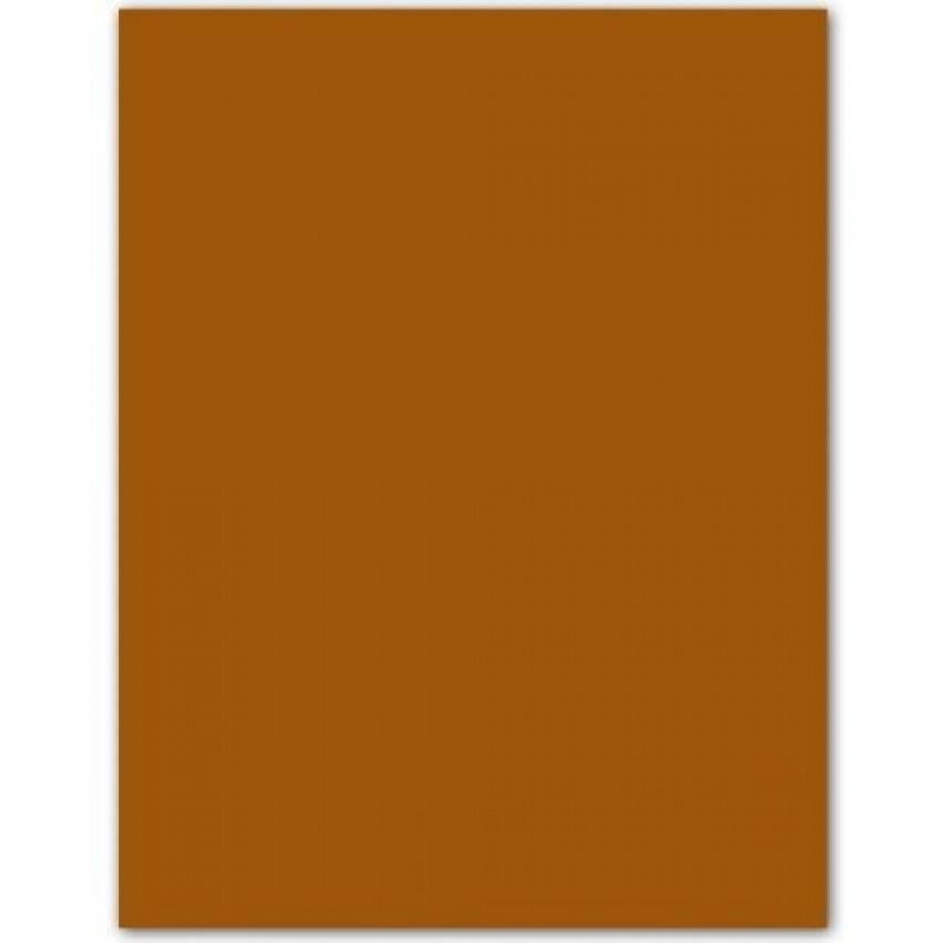 CARTULINA IRIS A4 185G. CUERO