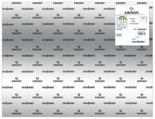 CARTULINA PLATEADA 50X65 CANSON 230gr.