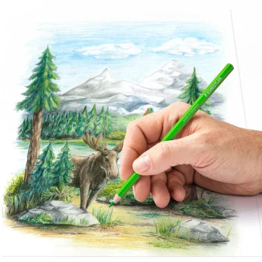 LAPIZ COLOR STAEDTLER LATA X24