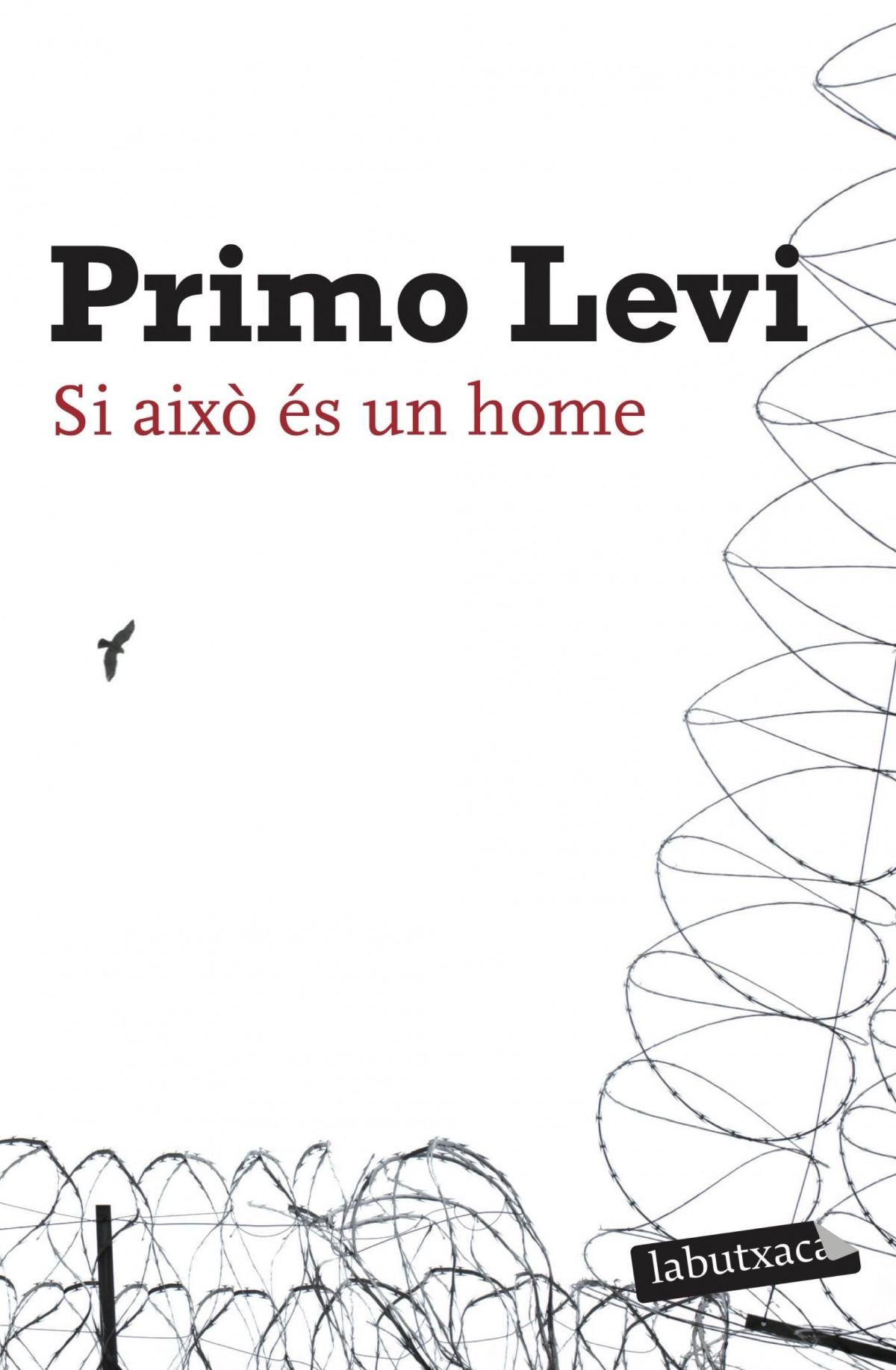 SI AIXO ES UN HOME DE PRIMO LEVI