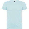 CAMISETA BEAGLE AZUL CIELO PARA PERSONALIZAR UNISEX