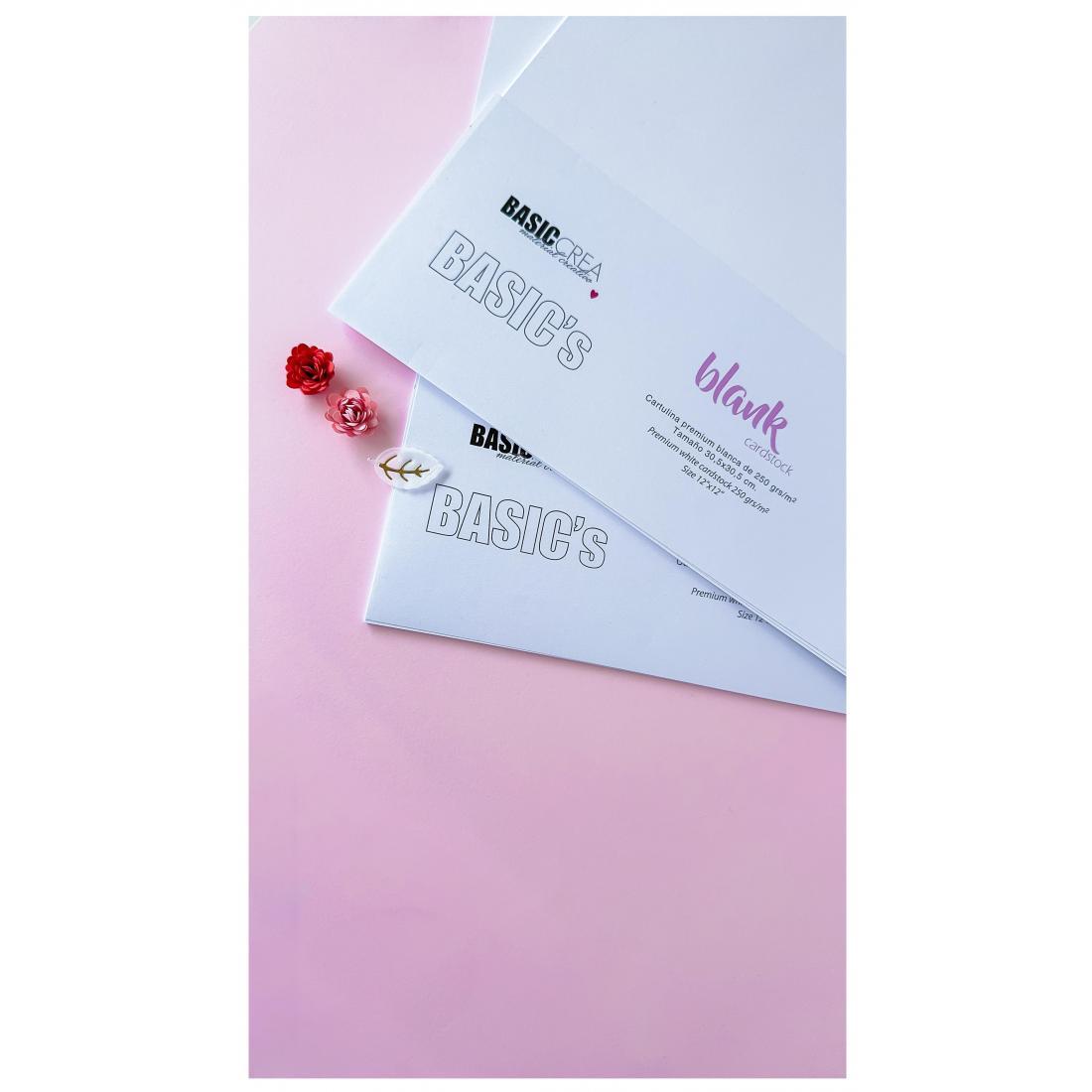 PAPEL PREMIUM WHITE 300gr.  x10 BASIC CREA
