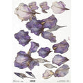PAPEL ARROZ DEC. ITD R1543L